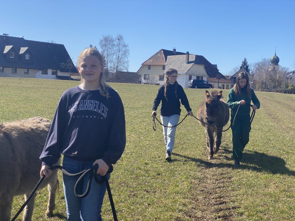 Draussen Tag 4