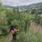 MTB 5