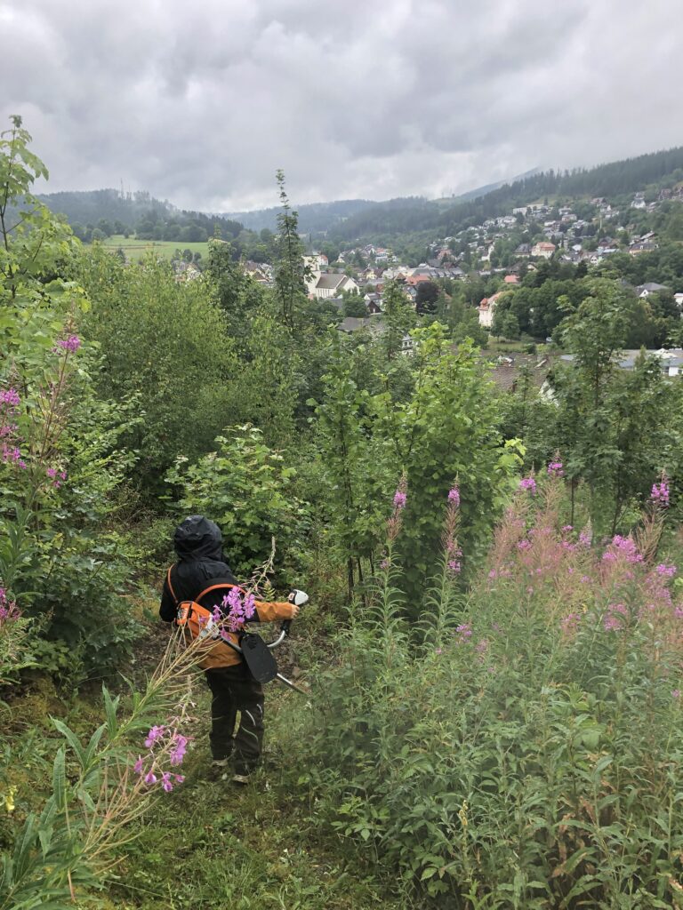 MTB 5