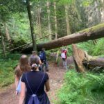 Schlucht 1