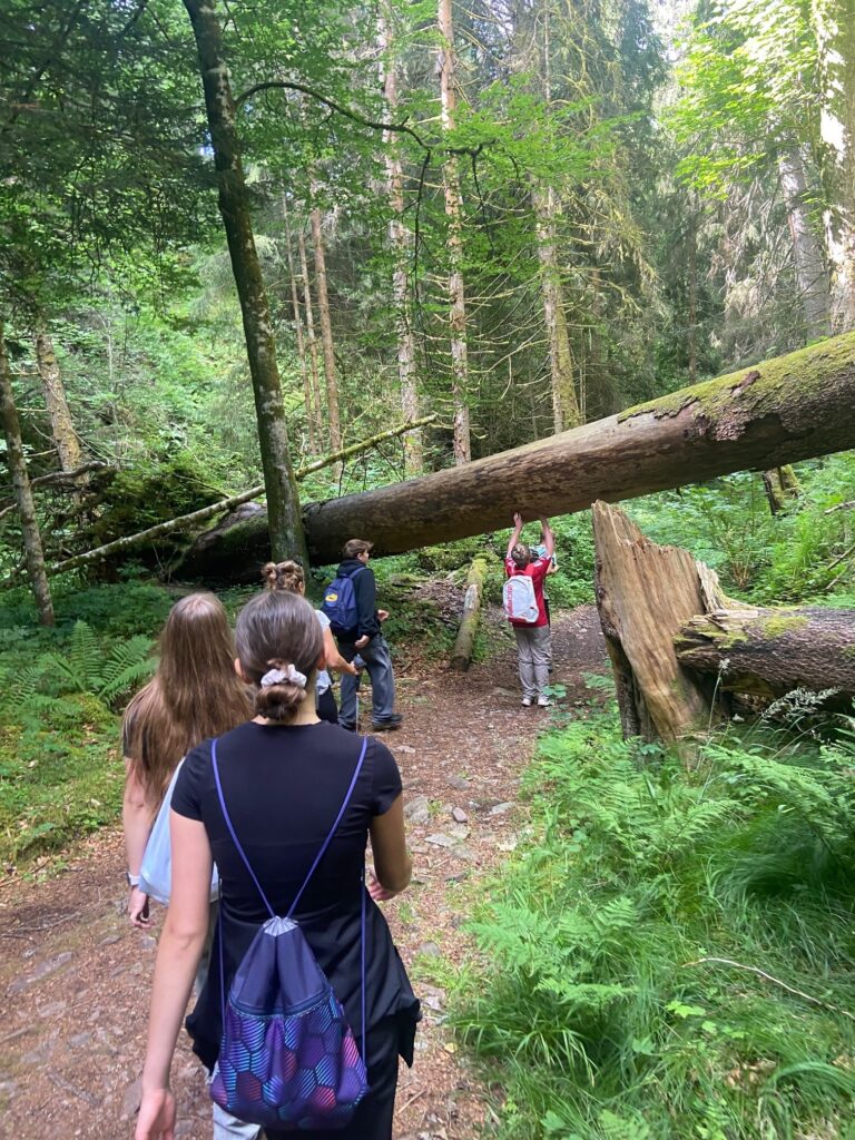 Schlucht 1