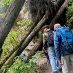 Schlucht 2