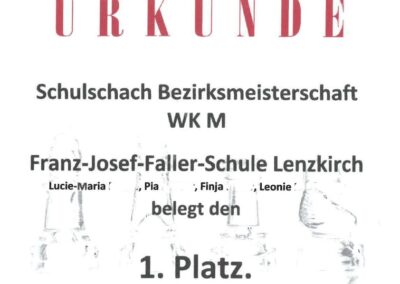 Schulschachtmeisterschaft